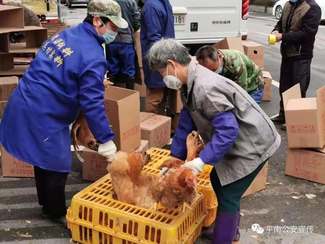 你不是一个人在战斗纯音乐,你不是一个人在战斗朗诵