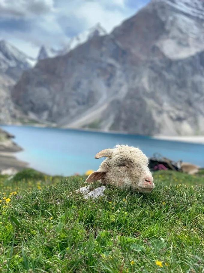 6月徒步乌孙古道骑马穿越,几月去乌孙古道徒步合适