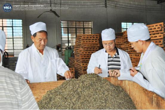 WRCA×龙园号:“世界最大的可移动茶柱”通过世界纪录认证