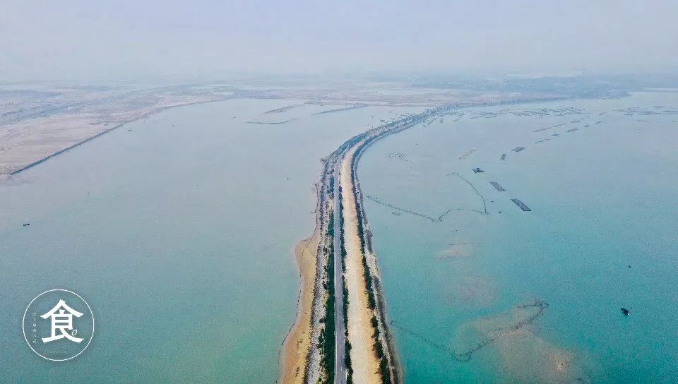 钦州最便宜的海鲜市场,钦州海鲜哪里最便宜