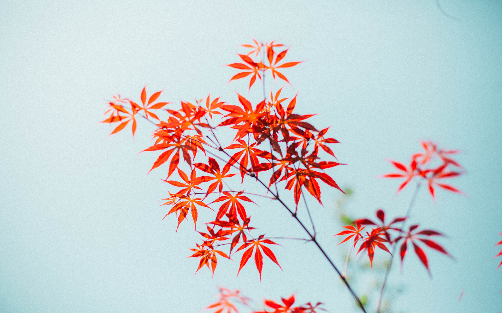 低谷不可怕四句话,当你被人看不起