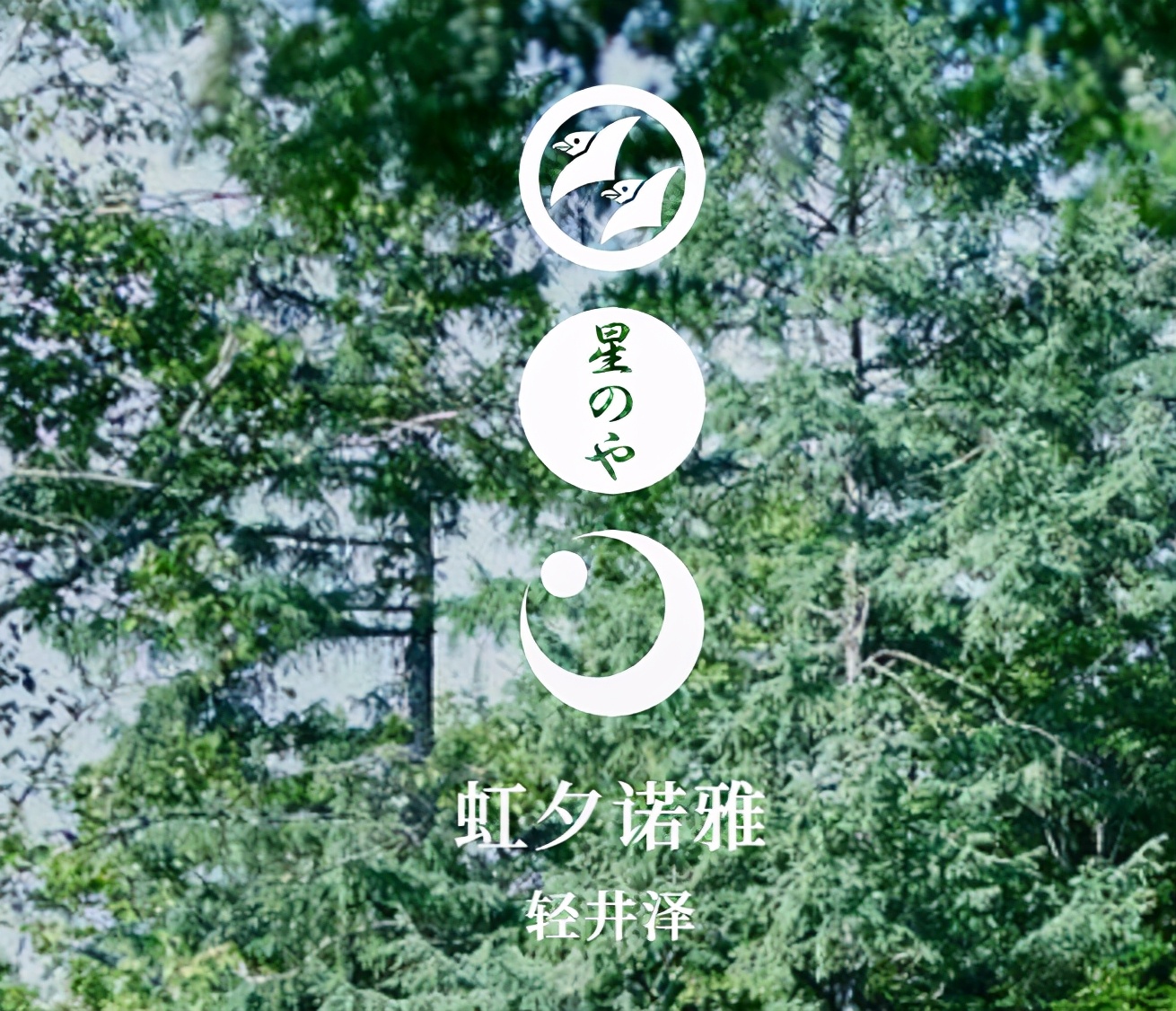 全球顶级十大精品酒店,全球公认的十大顶级酒店