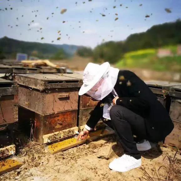 在农村年收入25万,风险指数低,且看我如何做到