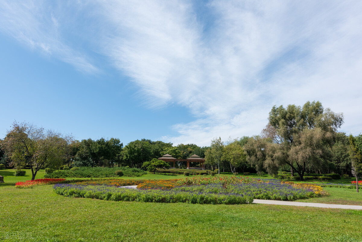 哈尔滨群力和哈西房价对比,哈尔滨新区哪个区域买房最好