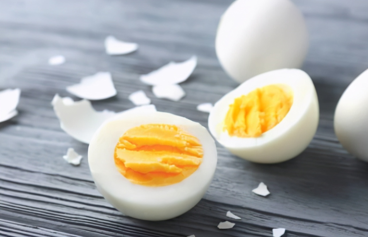 新手养狗泰迪犬如何饲养,新手如何养泰迪犬幼犬