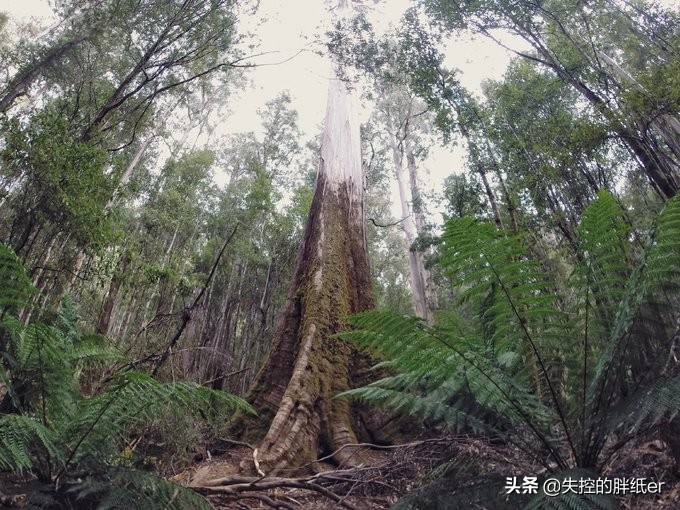 澳大利亚东南自驾游攻略,澳大利亚长途穿越自驾游
