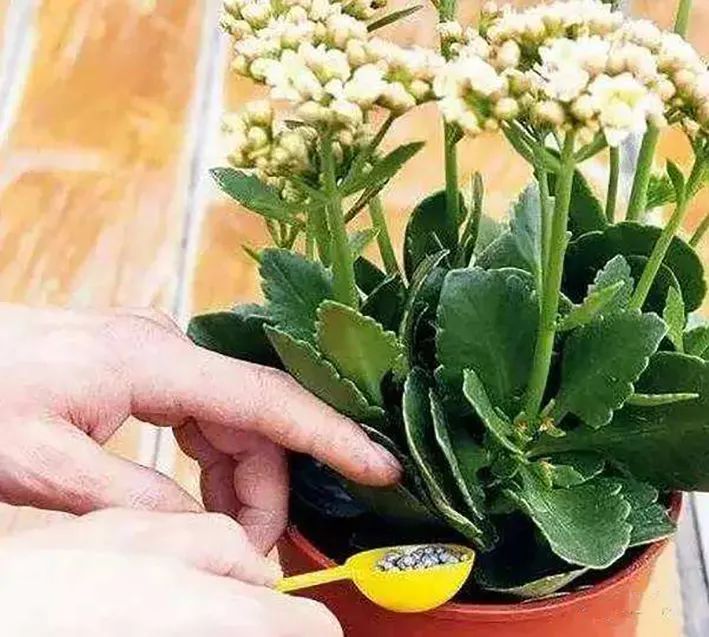 施肥手法,施肥技术和方法