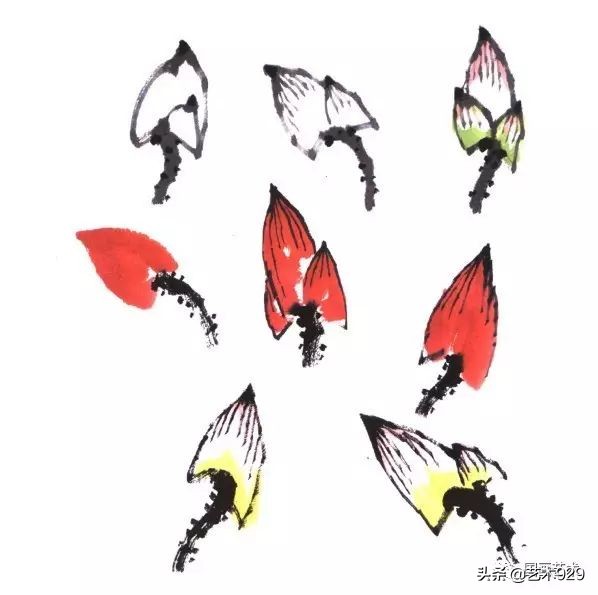 荷花的画法和步骤图解,最简单的荷花画法一学就会