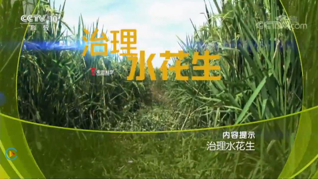 童年阴影停播究竟为何,走近科学童年阴影系列盘点