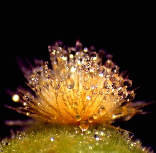 日本19年健体奥赛,日本诺贝尔奖得主批评亚洲教育