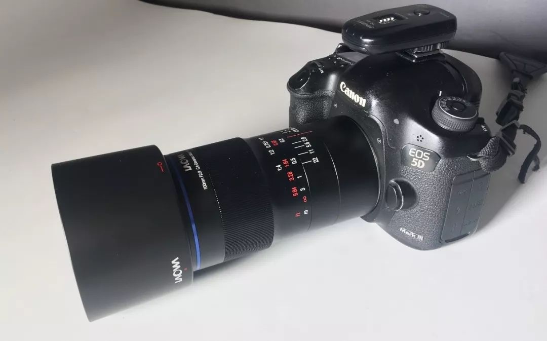 100mm微距一代和二代,90mm更好用的微距