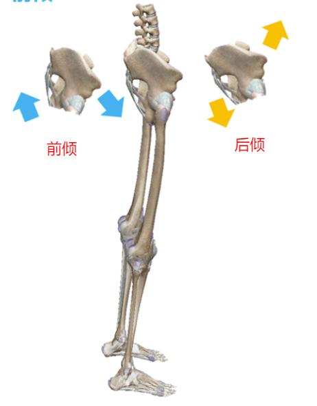 游泳背部会酸痛,游泳腰背疼怎么治