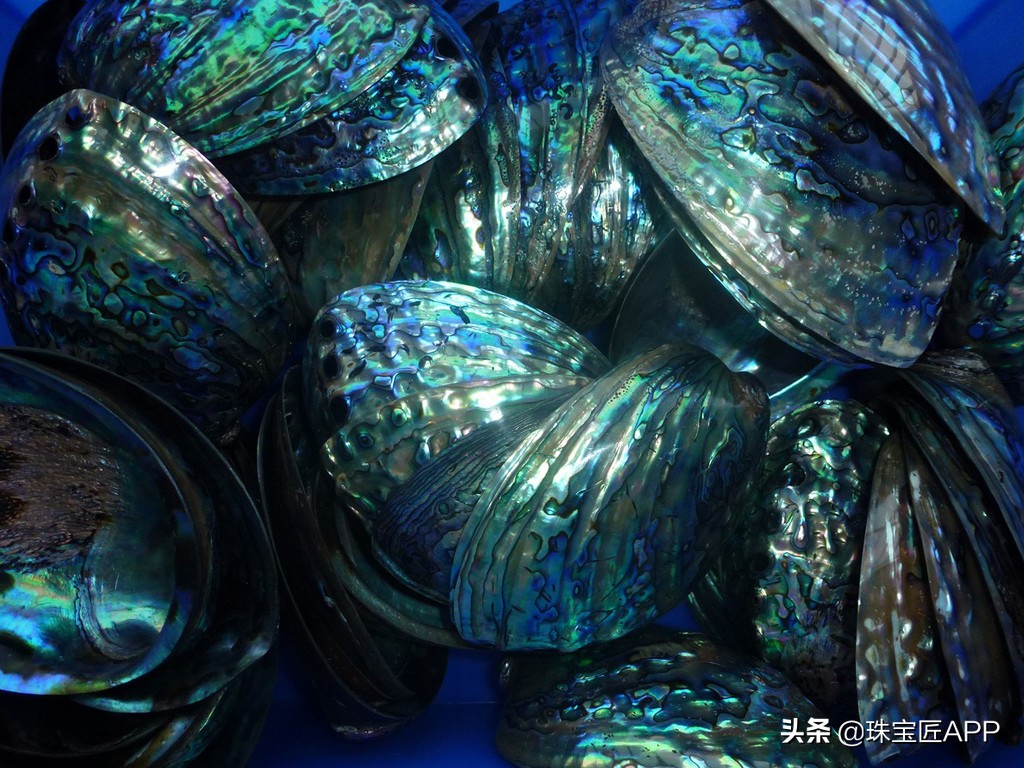 贝壳手工珠宝首饰,贝壳类珠宝首饰