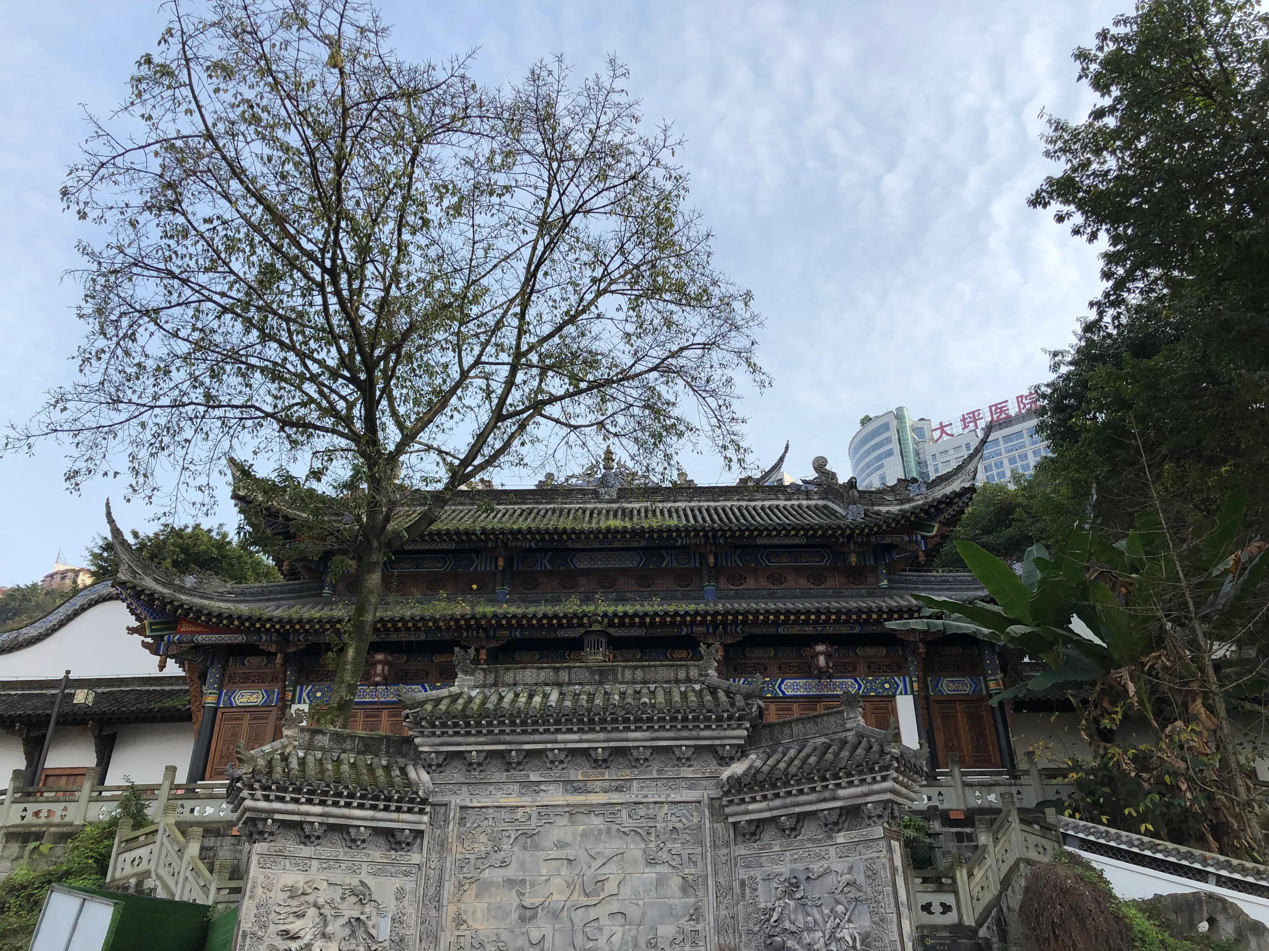 重庆渝中区游玩顺序推荐,重庆渝中区旅游全攻略自由行