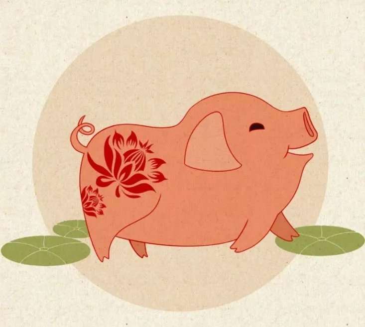 今年猪年的新年是哪一天,猪年几年一个本命年