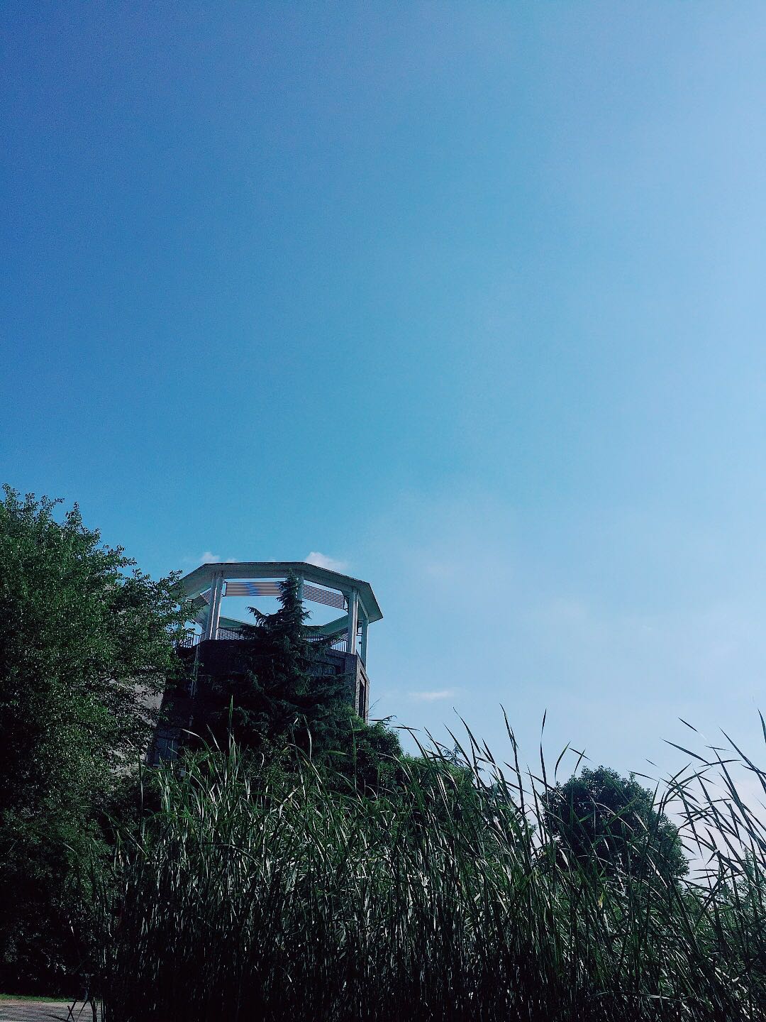 武汉这个美得像城堡一样的大学,你打卡了吗?