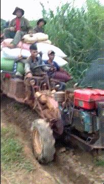 睡觉恶搞搞笑gif,睡觉gif搞笑动态图片大全