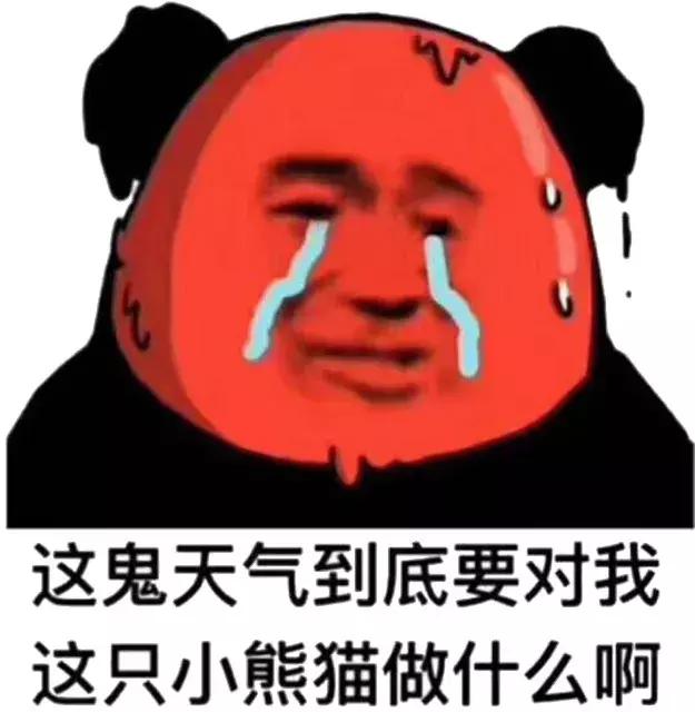 福懋动物医院厦门,福懋宠物医疗中心解放桥分院