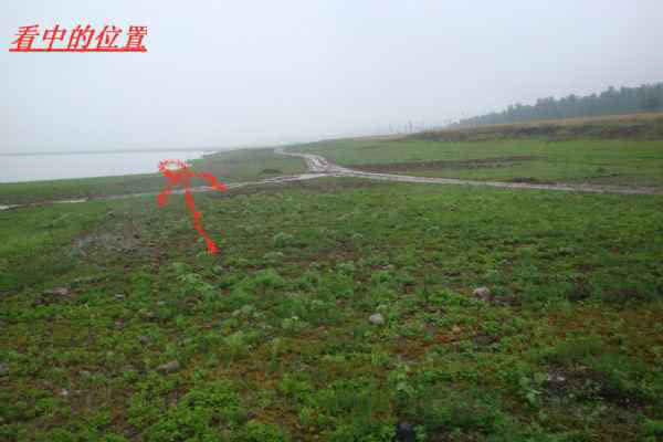 叉尾鮰鱼怎么处理,叉尾鮰的鱼的习性与钓法