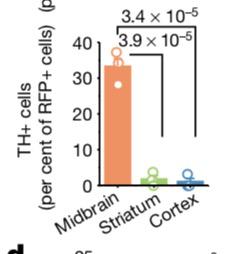 杨辉指付向东讲的与发表的不同