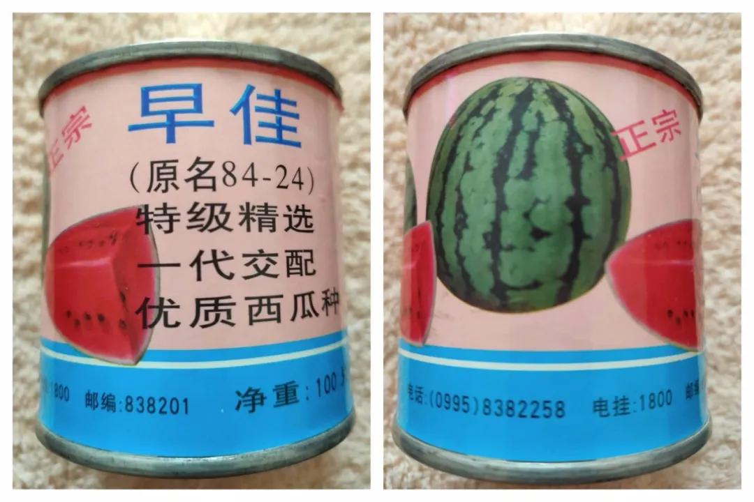 8424西瓜的技术秘密,8424西瓜试验了多长时间