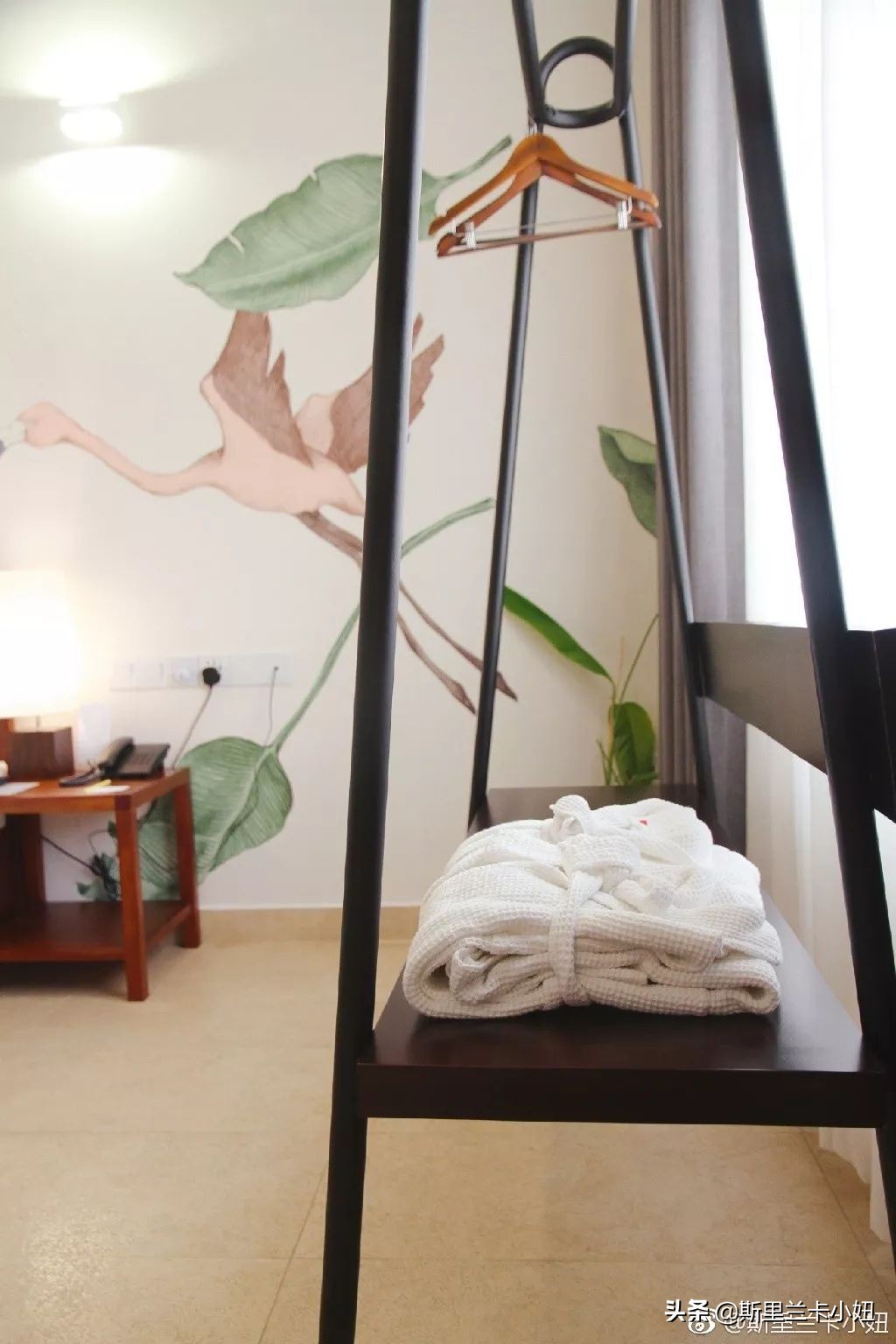 科伦坡淡山茱萸粉ins风酒店:清新艺术气质流行色不仅穿身上