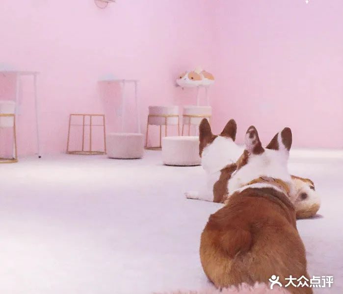 全国新开店铺,值得打卡的全国首店