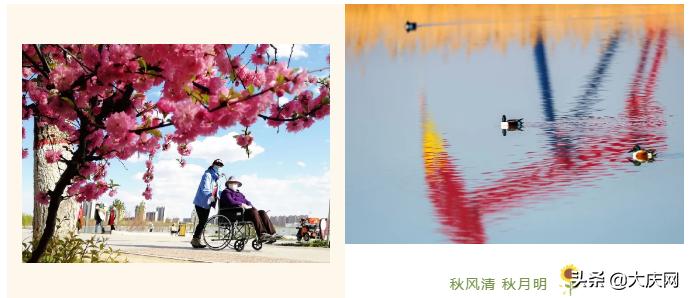 大庆滨水绿道景观,大庆绿道在哪里