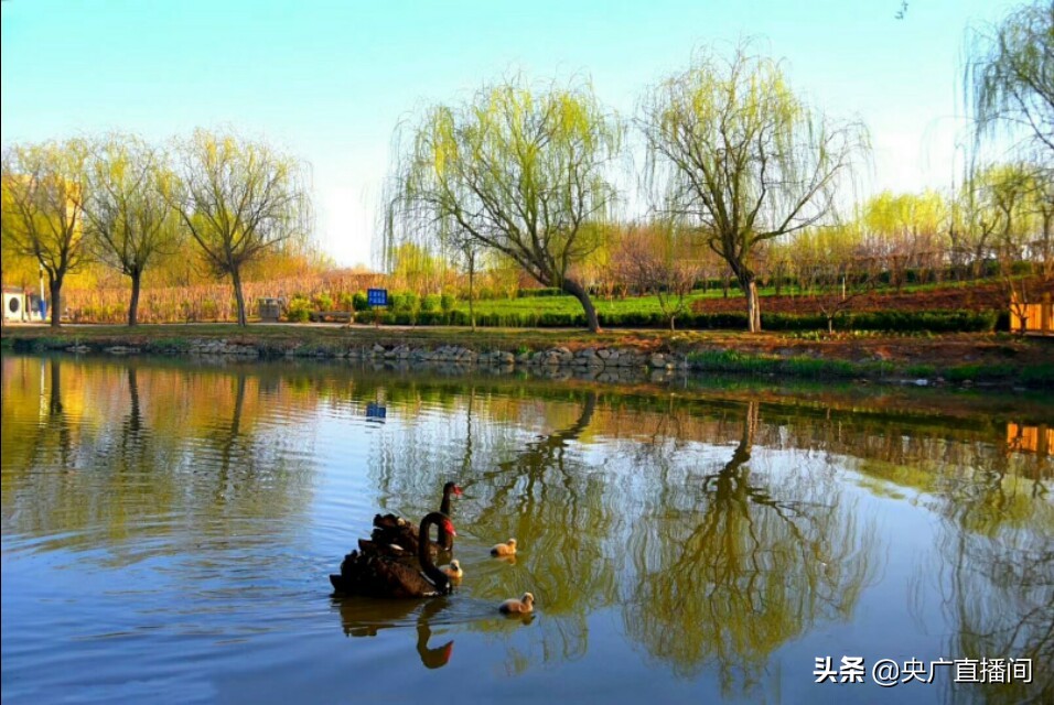 适合小住的十四个旅行小镇,适合小住一个月的旅游景点
