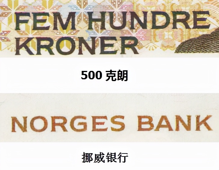 挪威钞票上比鲁迅小一岁的美女作家，因写了一篇小说获得诺贝尔奖