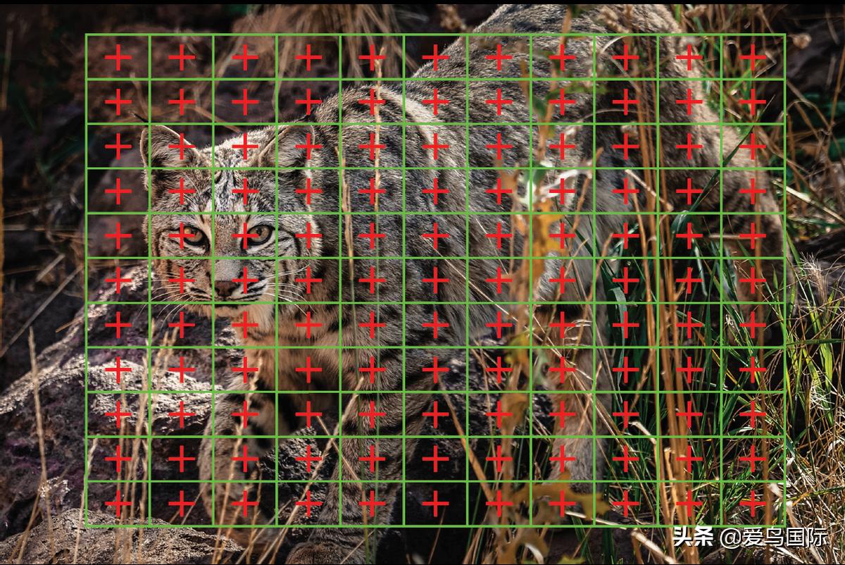 奥林巴斯单反全系列相机,奥林巴斯三千相机推荐