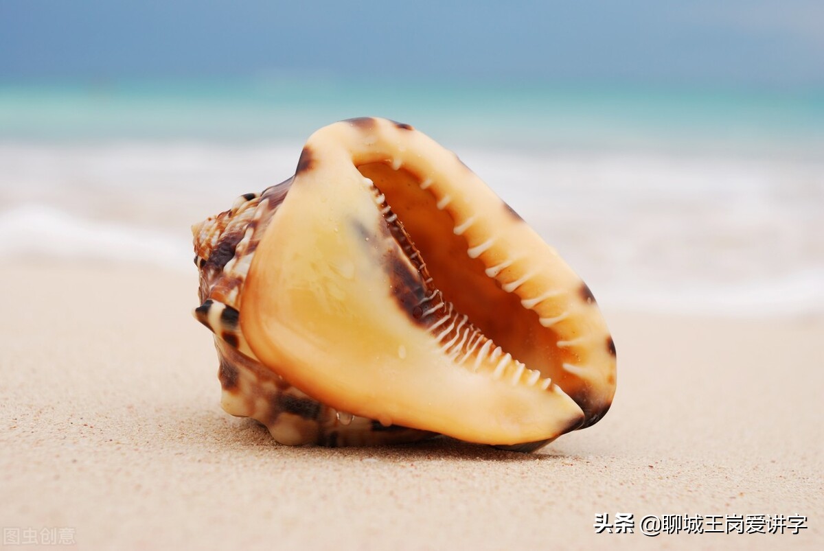 文化解读:“赢,羸,嬴”区别在哪?学习汉字,传递知识