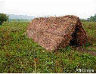 年轮哈尔滨,杨马架子棚改哈西