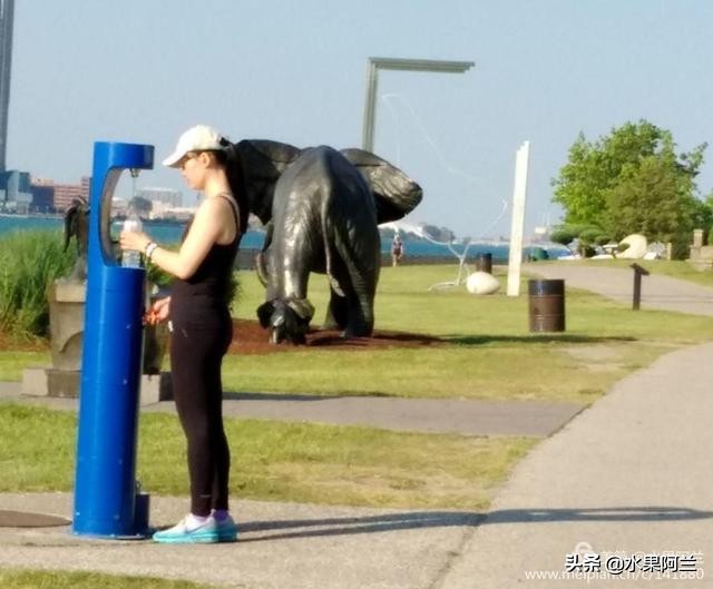 国际出行攻略,新西兰旅游攻略租车