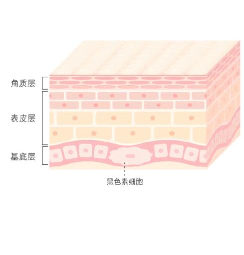 xdg熊果苷焕亮发光精粹水保湿补水,xdg熊果苷焕亮面膜测评吐槽