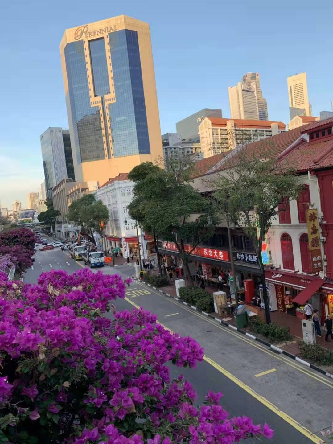 新加坡工种待遇排行,新加坡常见工种薪资