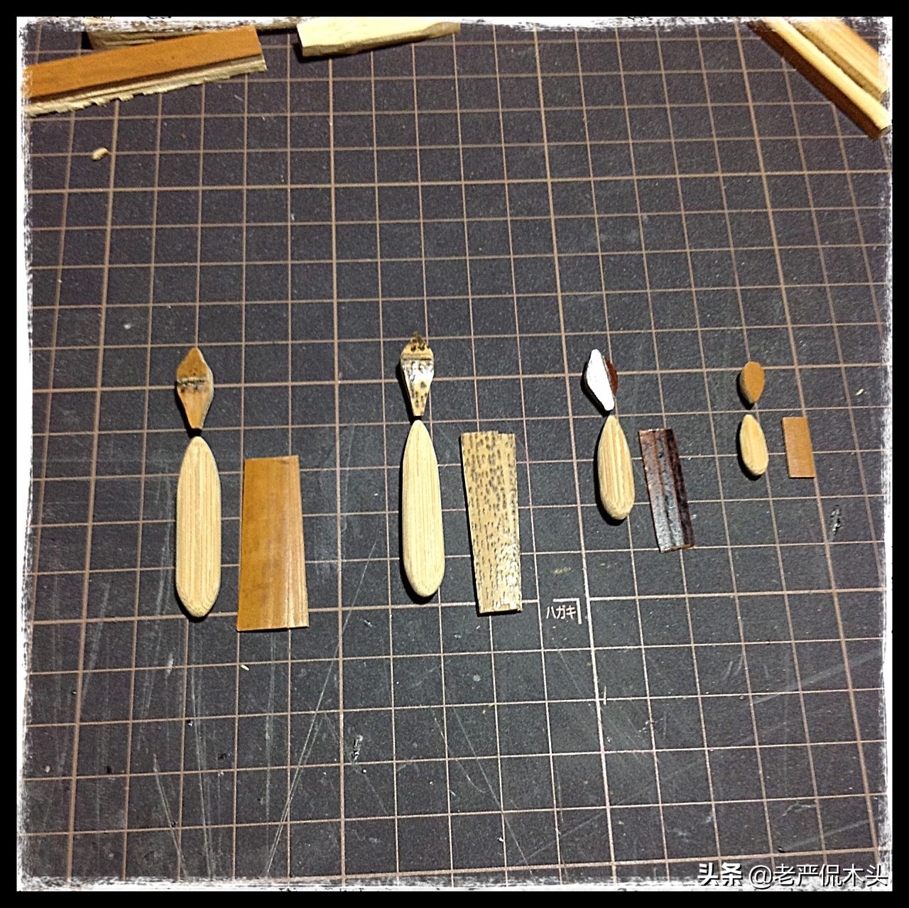 昆虫标本树脂竹节虫,昆虫标本制作竹节虫