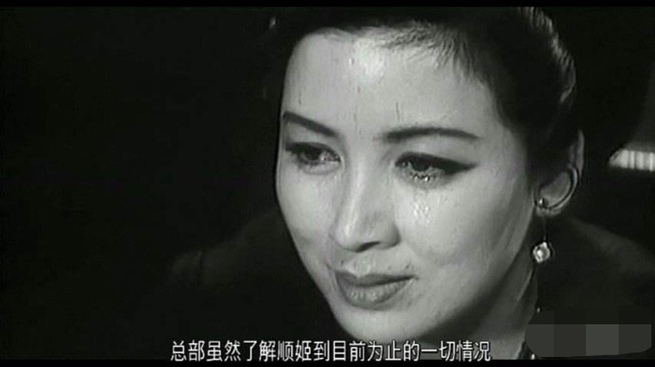 值得看的二十部谍战剧,十大必看谍战剧无名英雄