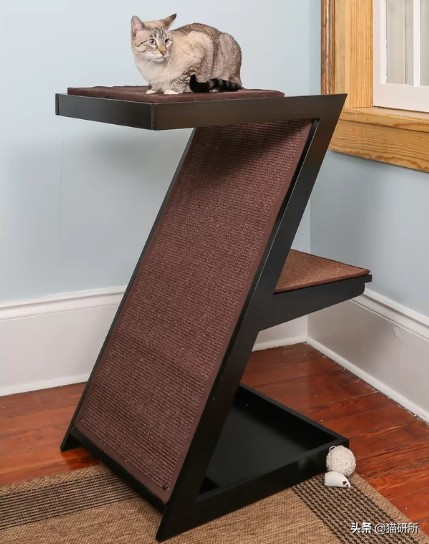 怎么防止猫抓板挠家具,怎样可以防止猫咪抓家具