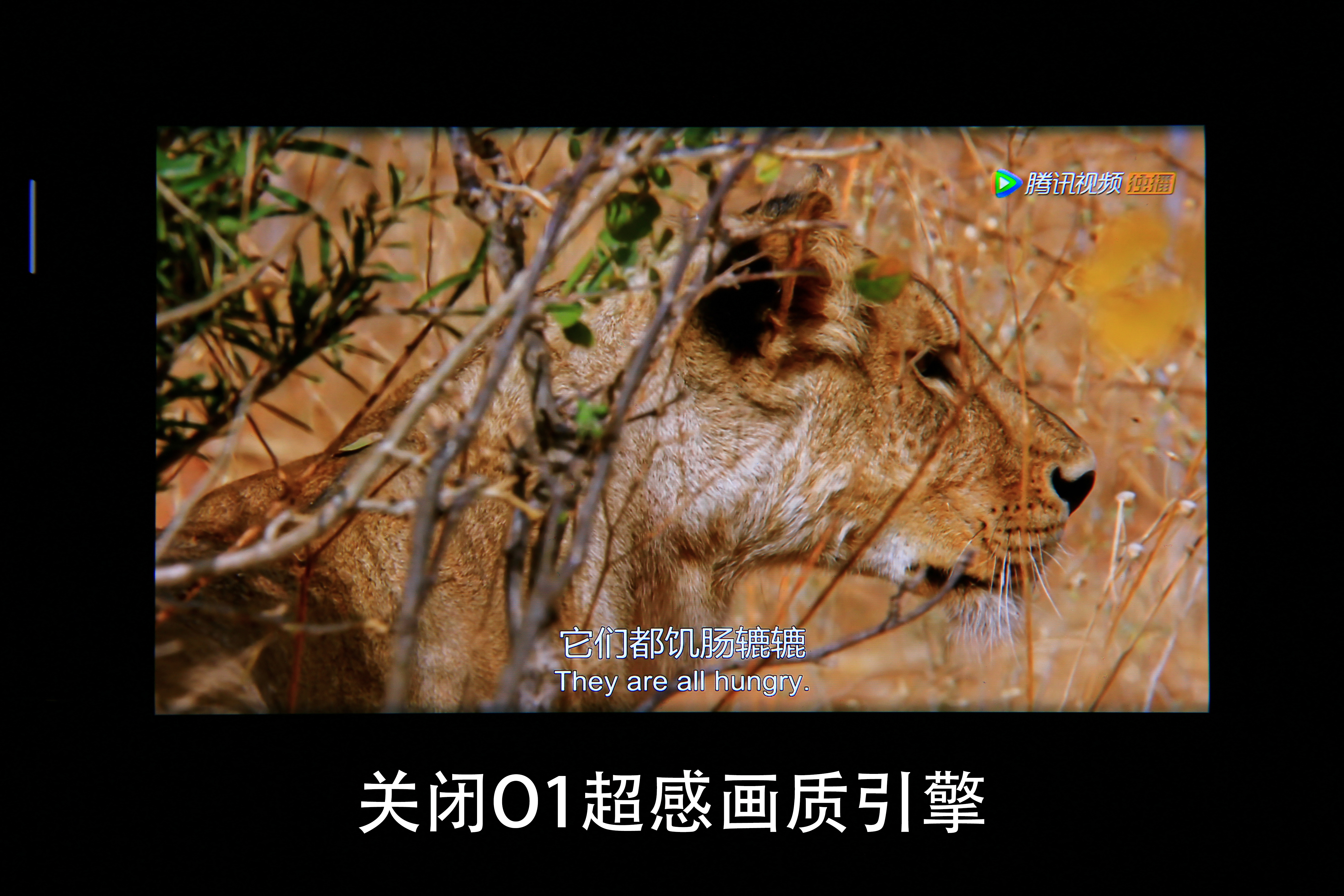 超感体验oppofindx2pro开箱随谈,oppofindx2pro深度评测视频