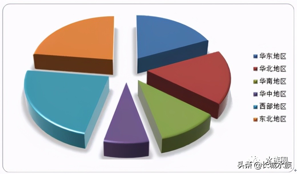 水族市场分析,水族器材行业有前景吗