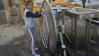 北京五环内新开萌宠乐园，除了喂动物，还能玩大滑梯、免费享帐篷