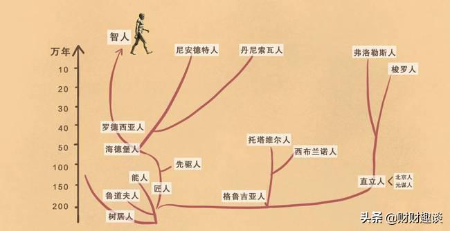 类人猿违背进化论疑点,进化论中的疑点是什么