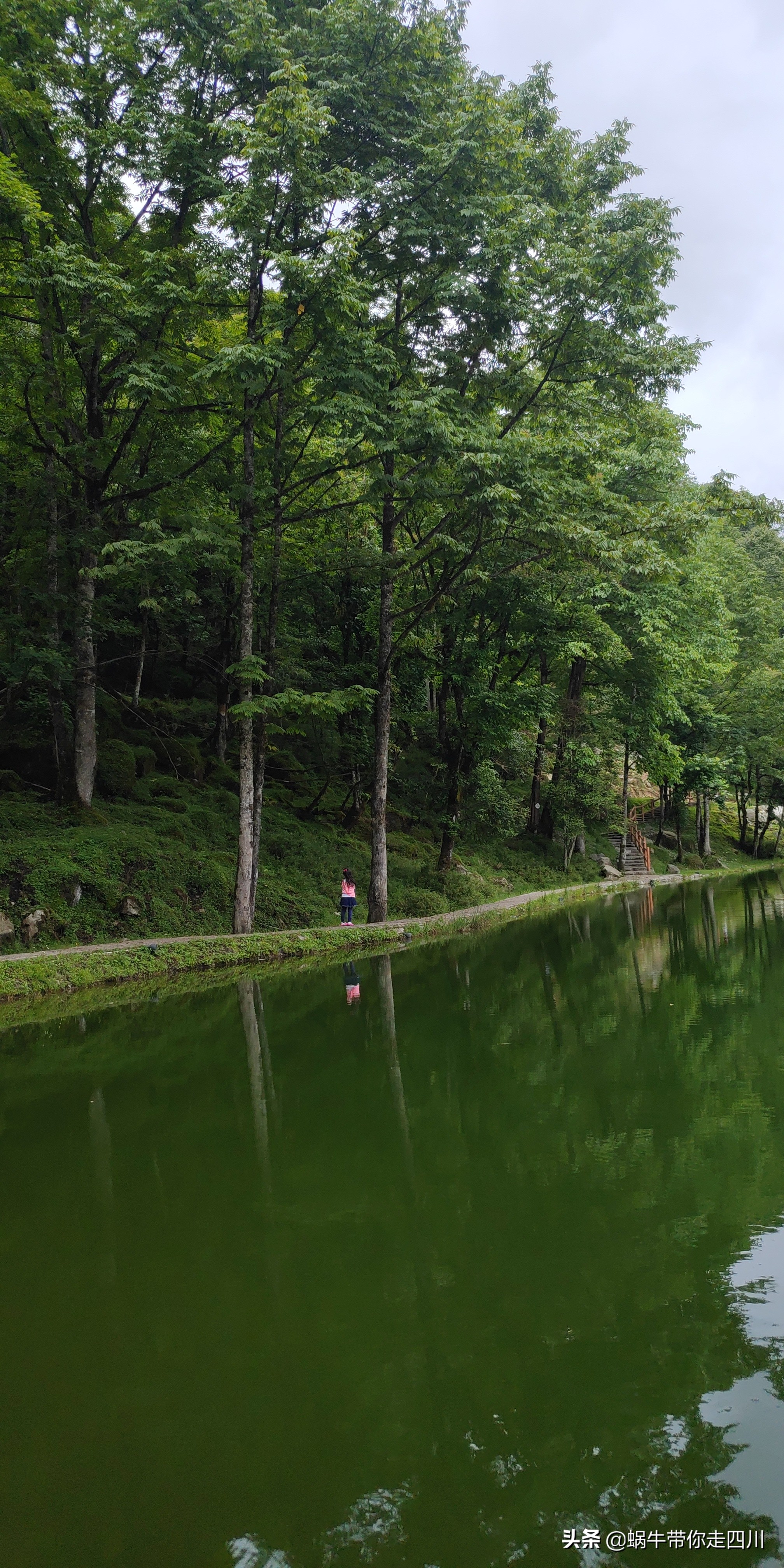 带小朋友出去看小动物,带小孩去海洋动物园