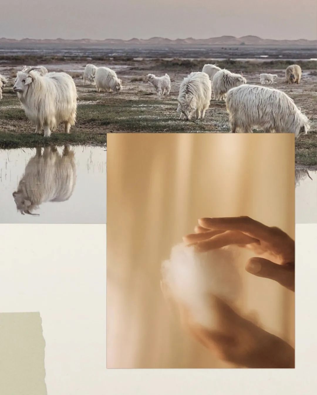 为什么大衣给人感觉很高级,为什么一件大衣能决定整体质感