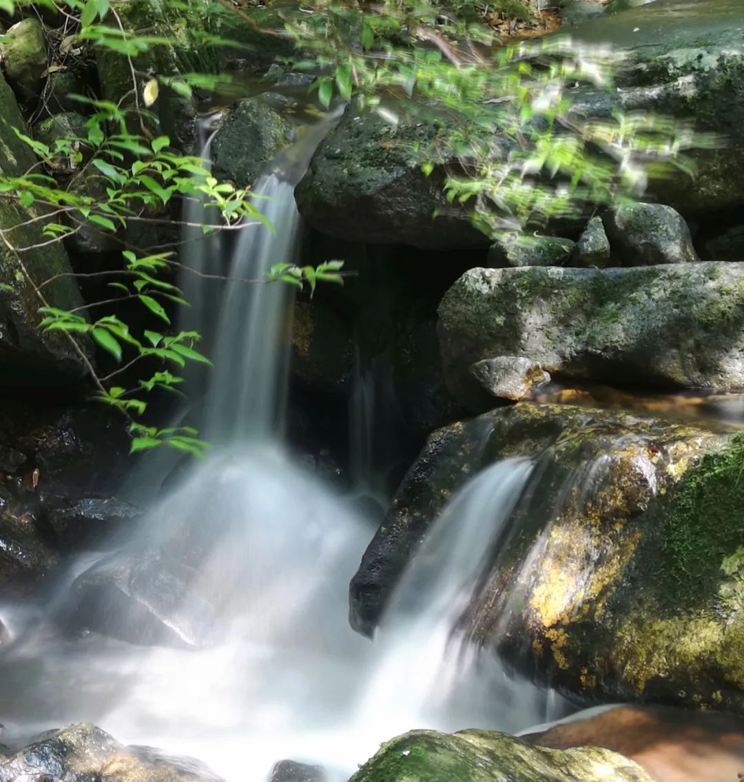 贺州姑婆山景区国家森林公园,贺州姑婆山森林公园路线