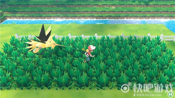 switch宝可梦letsgo伊布皮卡丘区别,精灵宝可梦letsgo伊布皮卡丘区别