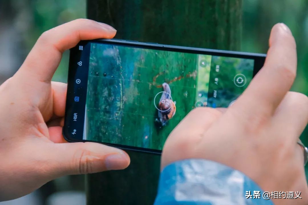 赤水大瀑布 侏罗纪公园 (贵州赤水侏罗纪公园攻略)