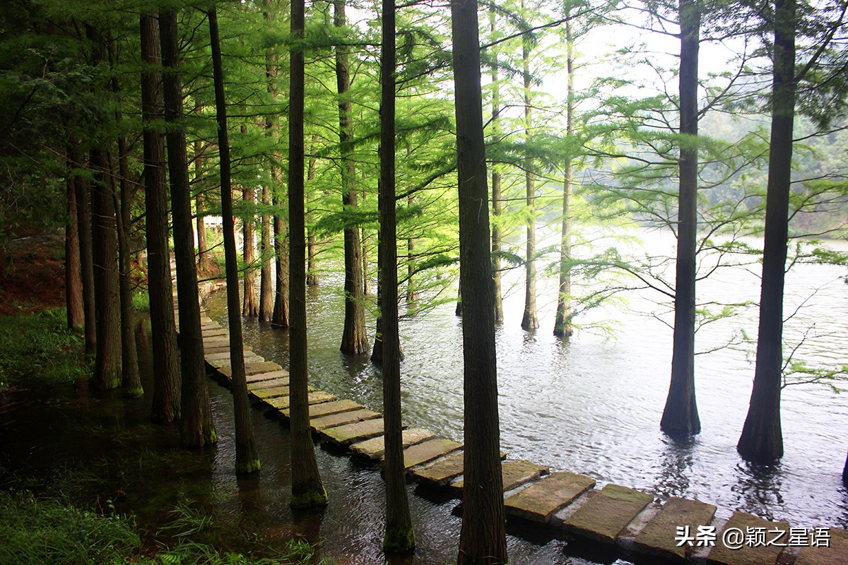 四明山地理位置地图,四明山有哪些隐藏的好地方