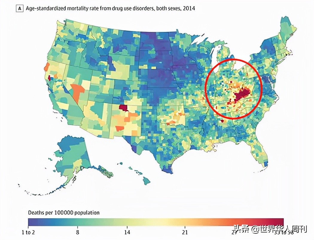 豆瓣9.1分的神剧,豆瓣9.7分的神剧